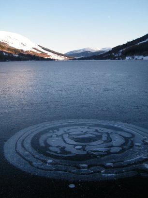 10175050_10153428172304408_4931777631604615716_n