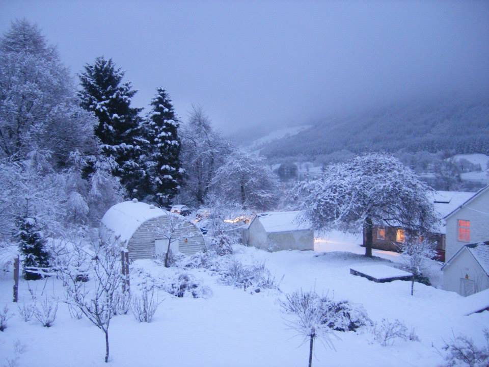 10259764_10153428186259408_4999869672451942946_n