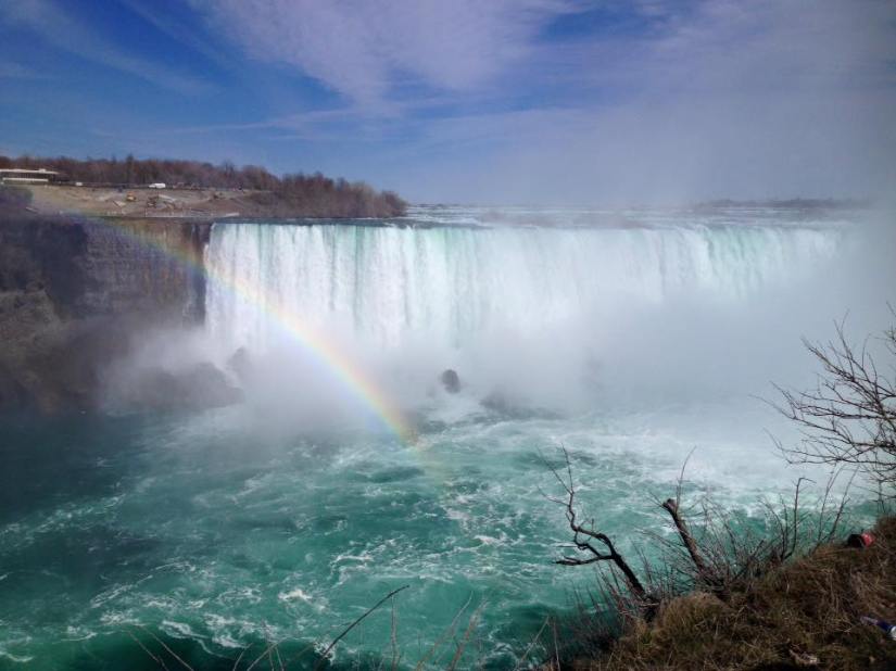 12993581_10154879975874408_4967504720209991606_n