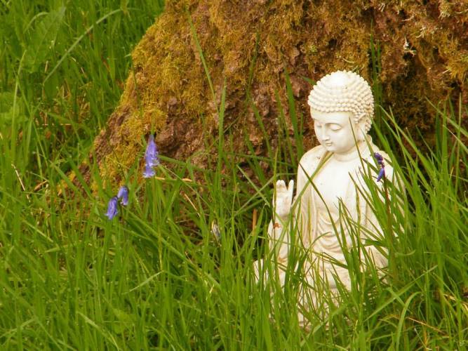 1514952_10153428164264408_2640935659181948724_n